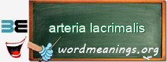 WordMeaning blackboard for arteria lacrimalis